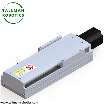 पेंच रैखिक मॉड्यूल